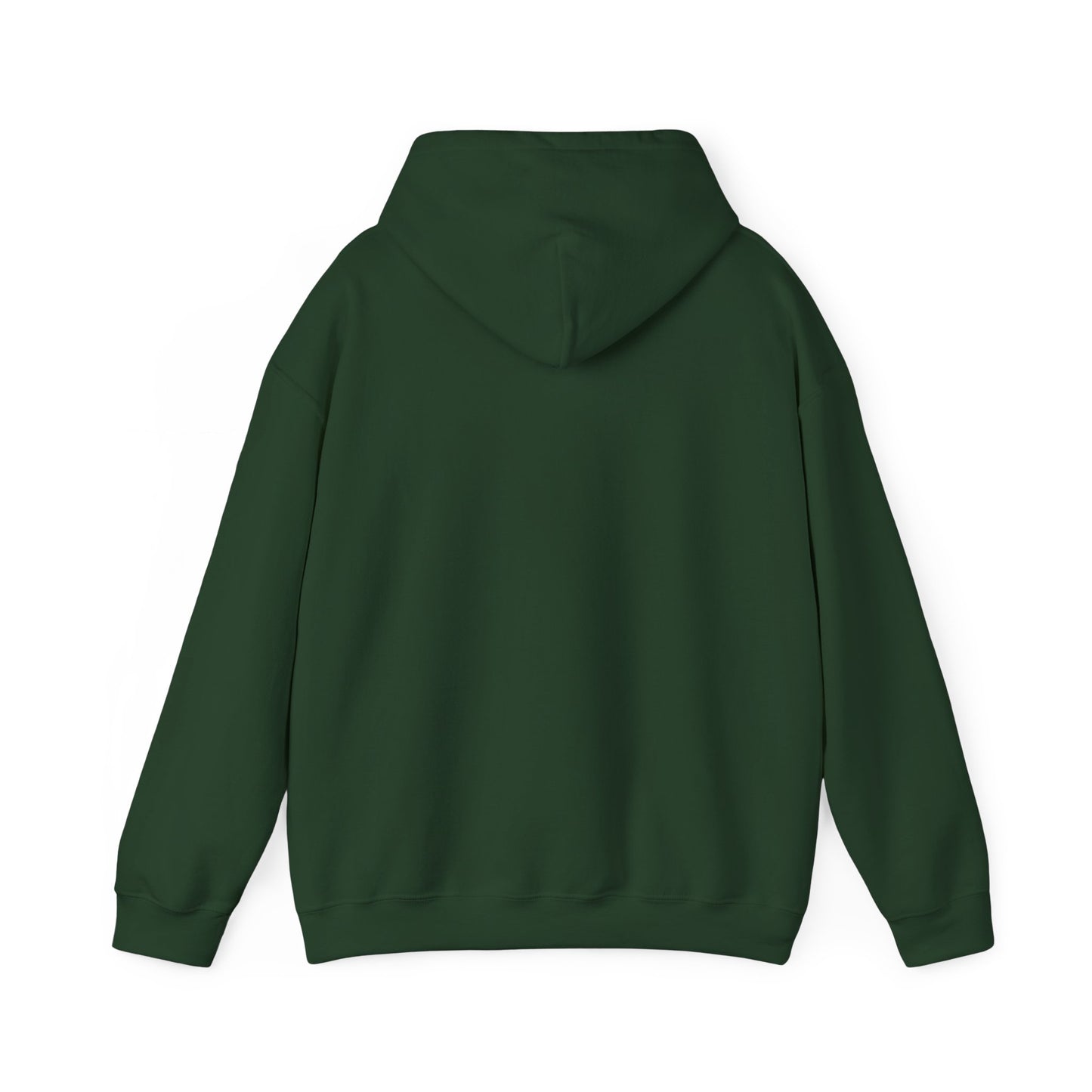 Joy Is Coming” Romans 8:18 Inspirational Hoodie