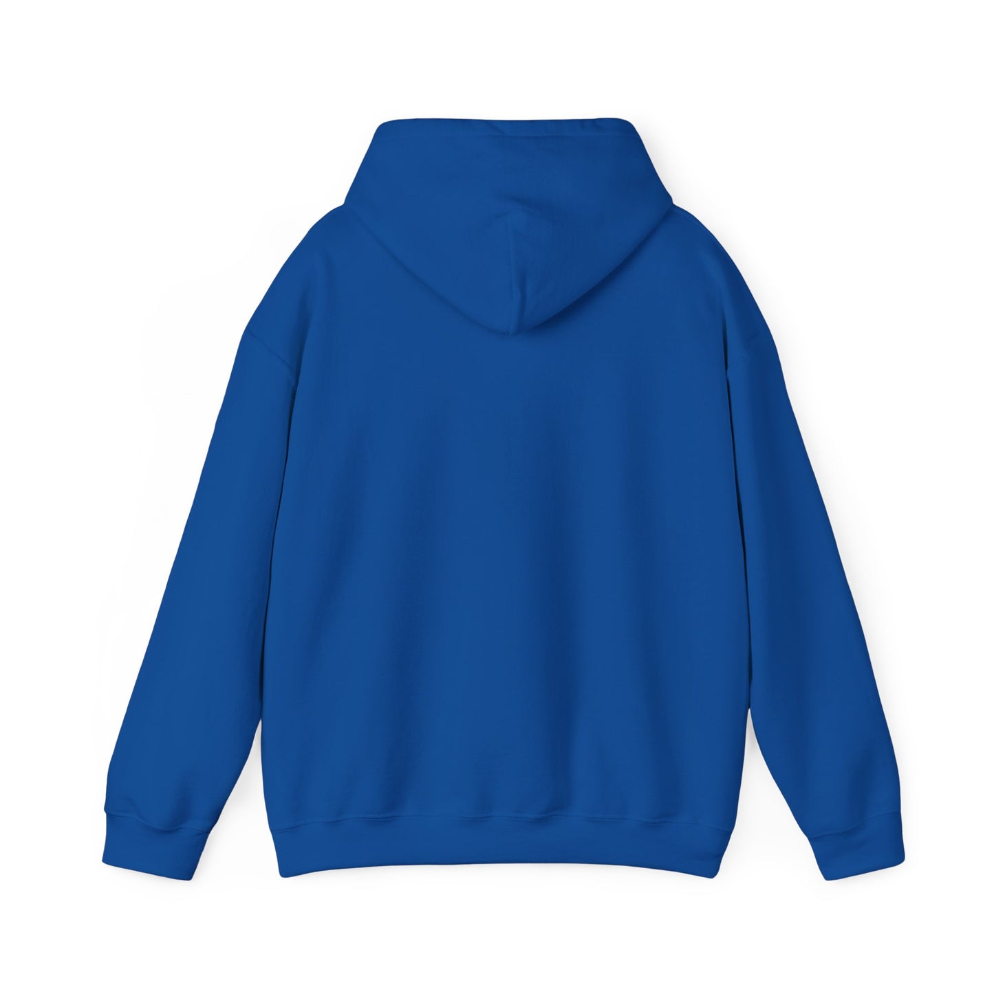 Joy Is Coming” Romans 8:18 Inspirational Hoodie