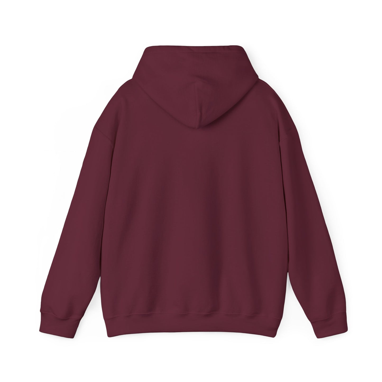 Joy Is Coming” Romans 8:18 Inspirational Hoodie